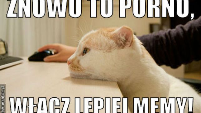 Od oglądania porno kurczy się mózg? Naukowcy właśnie to zbadali 1