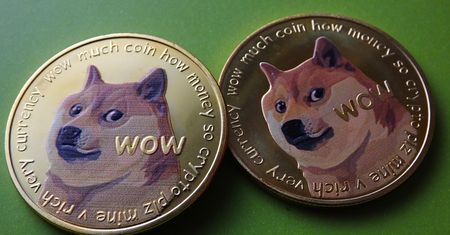 Dogecoin zalicza gwałtowny spadek. Wszystko przez show Elona Muska