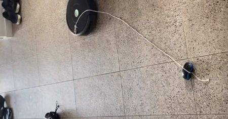 Praca zdalna. Tak pracownik wykiwał szefa. Nagranie jest hitem
