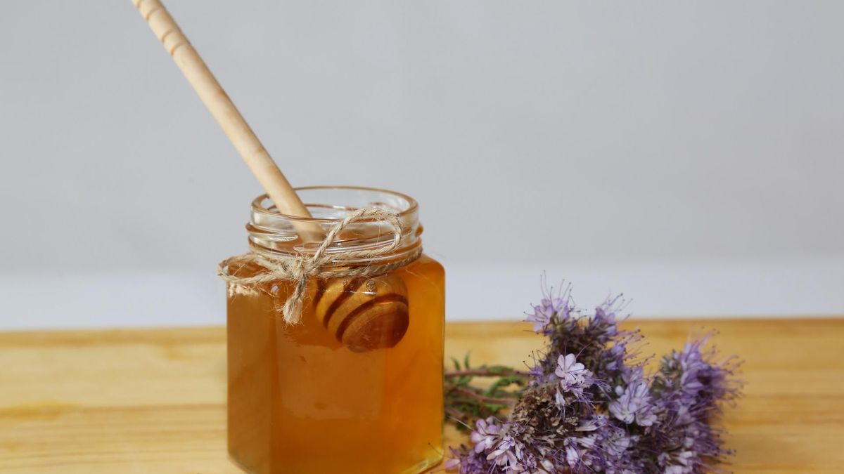 Miód faceliowy wspiera leczenie wielu schorzeń układu pokarmowego i oddechowego.