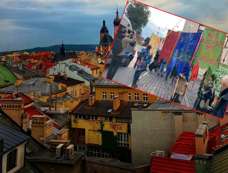 "Nie oddamy Bieszczad piłom". Protest przed siedzibami Lasów Państwowych