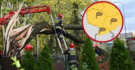 Alert RCB. Uwaga na silny wiatr! IMGW wskazuje zagrożone regiony