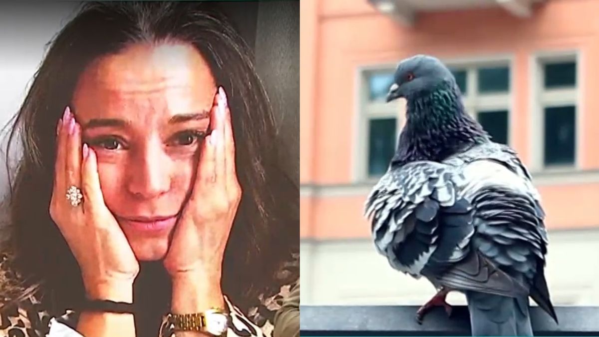 Czy Anna Mucha zdoła raz na zawsze przepędzić gołębie?