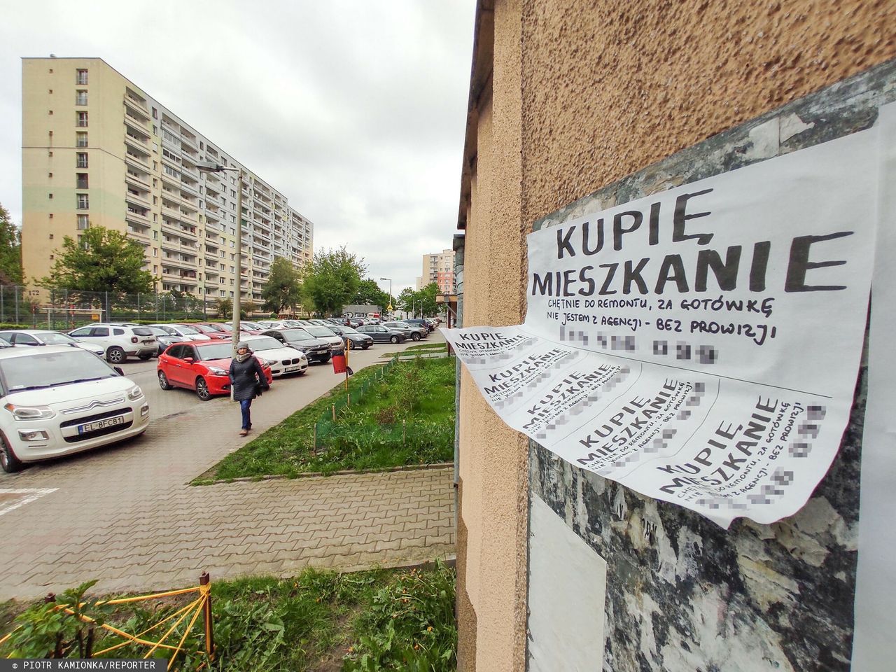 Dostęp do danych z Rejestru Cen Nieruchomości bezpłatny. Sejm podjął decyzję