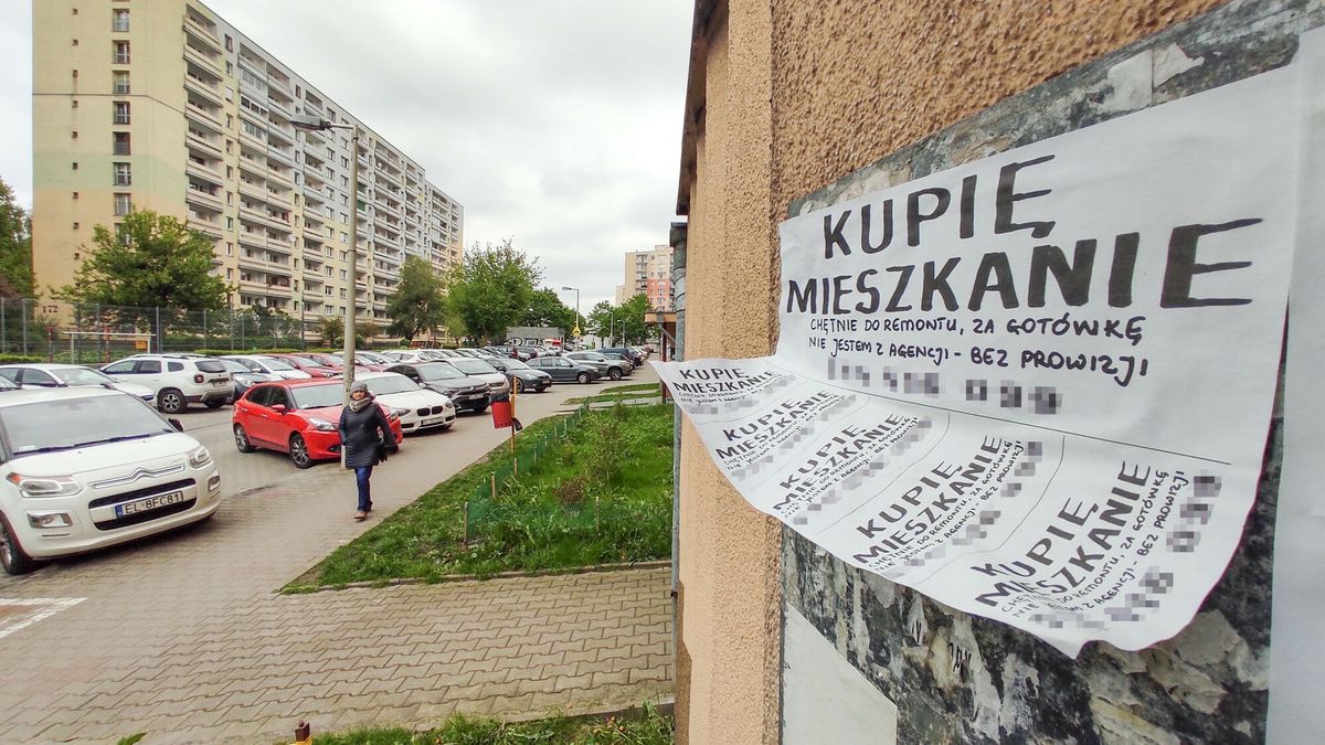 Reporter archiwum 2024 04
28.04.2024 Lodz. Flipper to calkiem nowy zawod, ktory polega na tym, aby zakupowac nieruchomosci w okazyjnych cenach, zwiekszac ich wartosc i kolejno sprzedawac z zyskiem dla siebie. W Lodzi pelno jest o gloszen o skupach mieszkan... N/z ogloszenie na lodzkiej Retkini. Fot. Piotr Kamionka/REPORTER
Piotr Kamionka/REPORTER