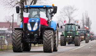 Europejski Zielony Ład. "Nie do końca wiemy czym jest"