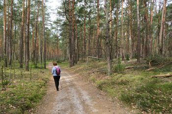 Turyści skorzystają. Nowe linie autobusowe ruszą już na majówkę