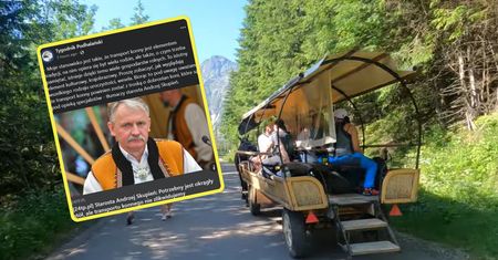 Skandaliczne nagranie z drogi na Morskie Oko. "Konie powinny zostać"