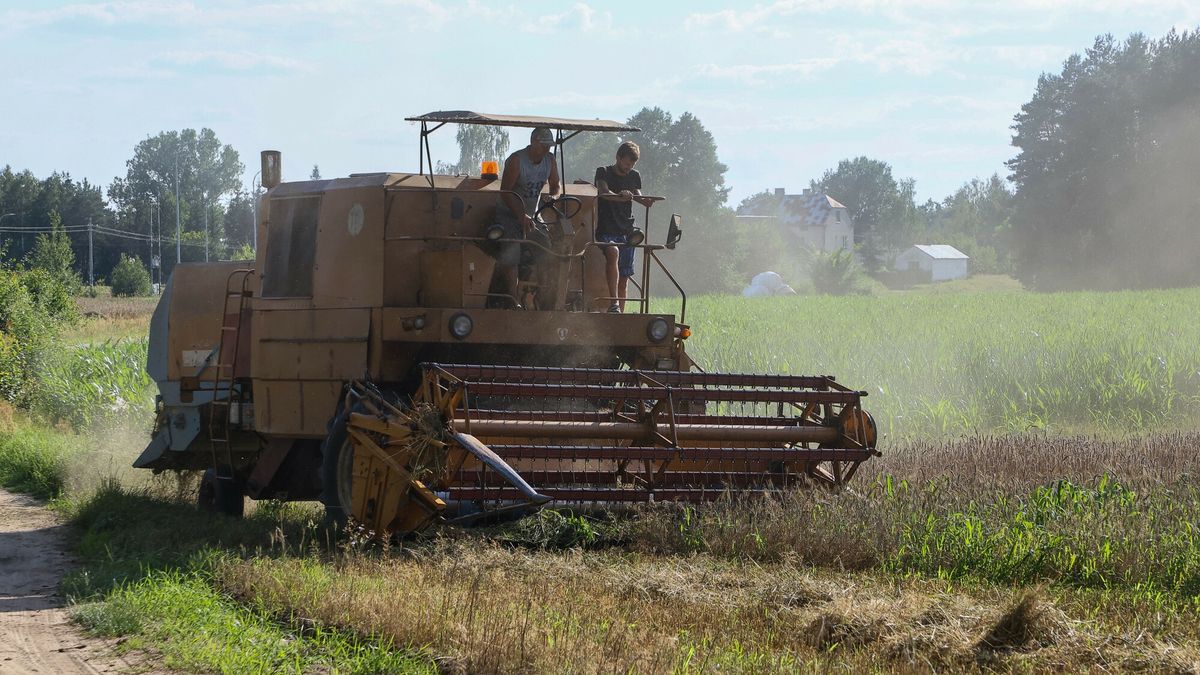 Wielkopolska Rada Rolnicza apeluje o niewzywanie policji z powodu nocnych prac przy żniwach