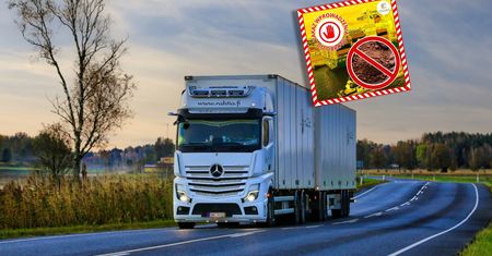 Zatrzymali 6 tys. kg kakao z dalekiej Azji. Oto co wykryli