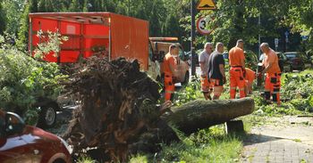 Katowice po burzy. Wielkie sprzątanie na osiedlu Tysiąclecia
