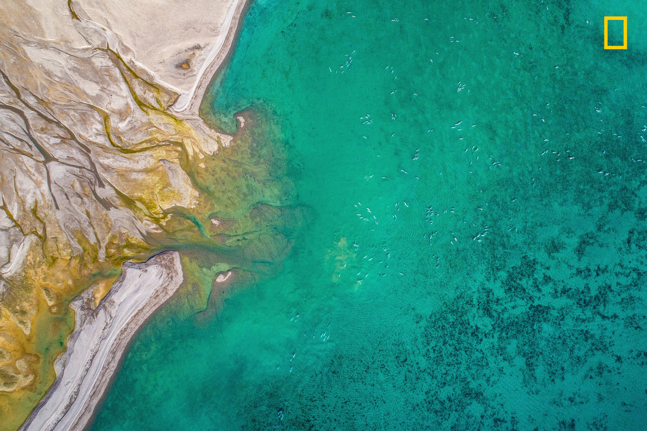 Ruszył konkurs fotograficzny Nature Photographer of The Year 2017. Pierwsze zgłoszone zdjęcia pokazują klasę 7
