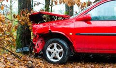 Niebezpieczne jesienne przymrozki. Tak pomoże Ci pakiet OC w LINK4