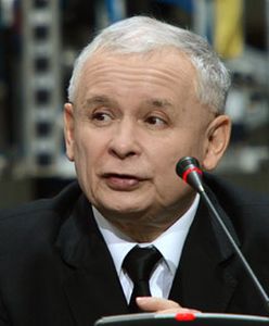 PiS: państwo powinno wspierać konkurencję na rynku pracy