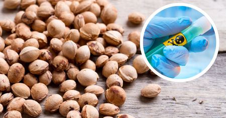 Nigdy nie połykaj pestki tego owocu. Wiele osób to robi, bo nie wie, jak jest groźne