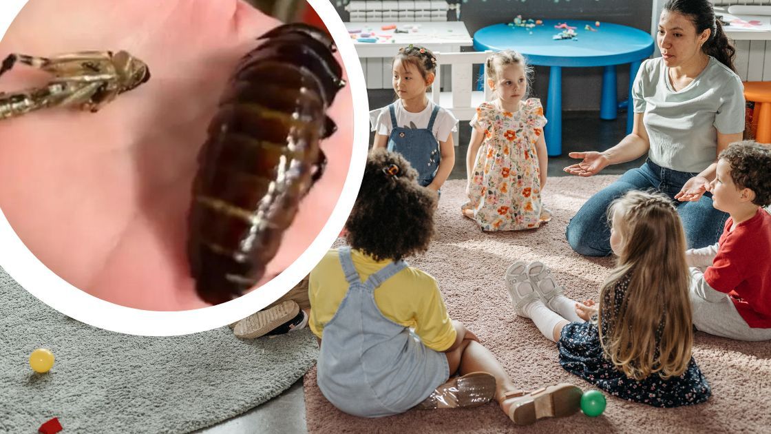 Fala hejtu na przedszkole- Pyszności/ źródło: Canva