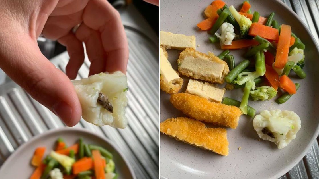 Ślimak w kawałki kalafiora oraz gotowe danie dla dziecka