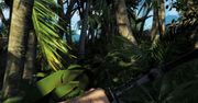 Far Cry 3: poznajcie piękne i niebezpieczne Rook Islands