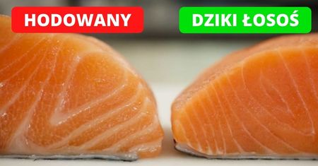 11 zaskakujących ciekawostek o jedzeniu, o których nie wie większość konsumentów