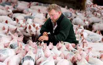 Rosyjskie embargo. Minister rolnictwa Niemiec twierdzi, że UE nie odczuje sankcji