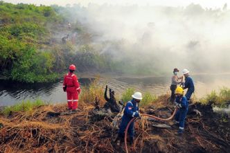 Gigantyczne pożary w Indonezji. Kto jest winien?