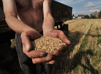 Bruksela chce pomóc Ukrainie. Polscy rolnicy nie chcą za to płacić i zapowiadają protesty