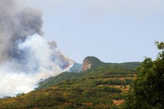 Pożary lasów zagrażają fabryce amunicji w Bośni