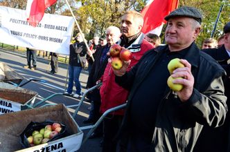 Produkcja jabłek staje się coraz mniej opłacalna