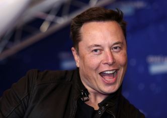 Elon Musk błyskotliwy? "Nawet kota nie dałbym mu popilnować"