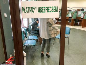 Polski Ład uderzy w samozatrudnionych. Przez nowe przepisy mogą stracić ubezpieczenie chorobowe