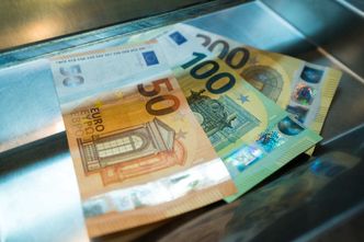 Kursy walut. Stabilne euro po EBC