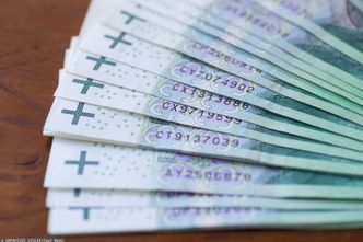 Likwidacja OFE. Rząd wciąż nie wie co z nimi zrobi