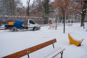 Śnieg w Polsce daje się we znaki. Prawie 170 tys. odbiorców bez prądu
