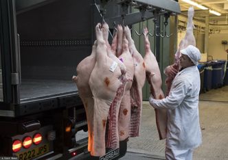 Sprzedaż mięsa i nabiału w Europie maleje. Nadchodzi era zamienników?