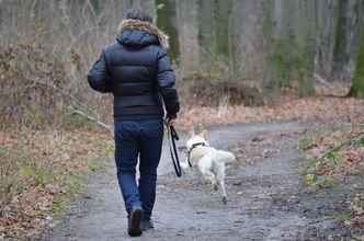 Od soboty zmiany w stawkach mandatów. Odczują je posiadacze zwierząt, przewoźnicy, sklepikarze