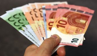 Polacy chcą euro, ale boją się wzrostu cen. Ciekawe wyniki badań