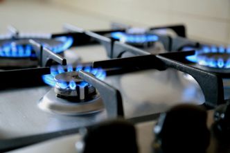 Ceny gazu zabijają holenderską gospodarkę. Nie stać ich na ogrzewanie szklarni