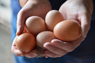 Koronawius zwiększył zapotrzebowanie na jaja. Polska będzie mogła sprzedawać je do Tajlandii