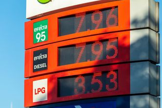 "Powinniśmy przyzwyczaić się do cen benzyny i diesla powyżej 7 zł/l". Eksperci nie zostawiają złudzeń: tanio już było