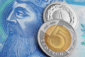 Złoty w cieniu decyzji RPP. Polska waluta osłabia się, ale jest stabilna