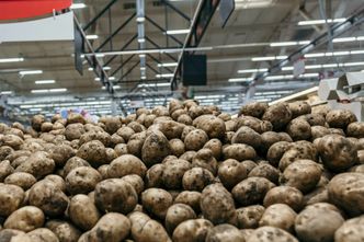 W Polsce rośnie ziemniaczane podziemie. Lewe kartofle zalały rynek