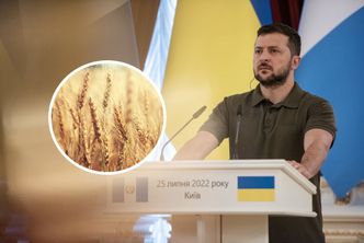 Pojawił się kolejny problem z eksportem zboża z Ukrainy. Brakuje ludzi