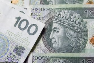 Kursy walut. Złoty pod presją i to się szybko nie zmieni