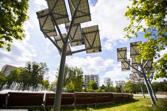 Energa postawi farmę fotowoltaiczną. Zamontuje prawie 70 tys. paneli słonecznych