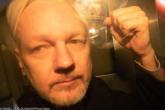 Assange spędzi 50 tygodni w więzieniu