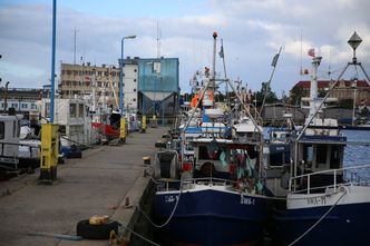 Dorsza w Bałtyku jest za mało. Bruksela wprowadza zakaz połowów