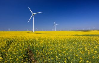 Przydomowe elektrownie wiatrowe