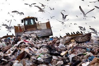Niemieckie śmieci zalewają Polskę. "Umyślnie łamią przepisy"