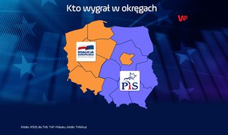 Wyniki wyborów do PE 2019. Polska na pół podzielona - tak głosowali Polacy