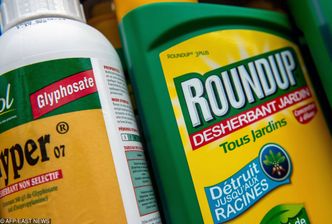Bayer komentuje wyrok sądu. "Roundup jest bezpieczny. Będziemy bronić naszych preparatów"